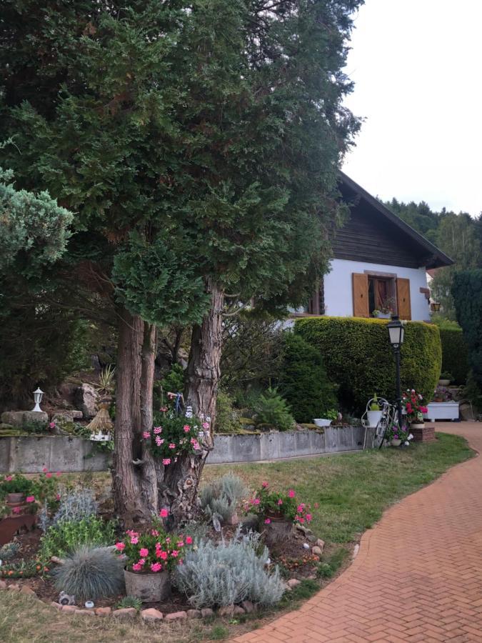 L'Hippocampe Lägenhet Wangenbourg-Engenthal Exteriör bild