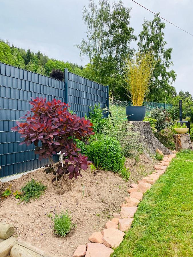 L'Hippocampe Lägenhet Wangenbourg-Engenthal Exteriör bild