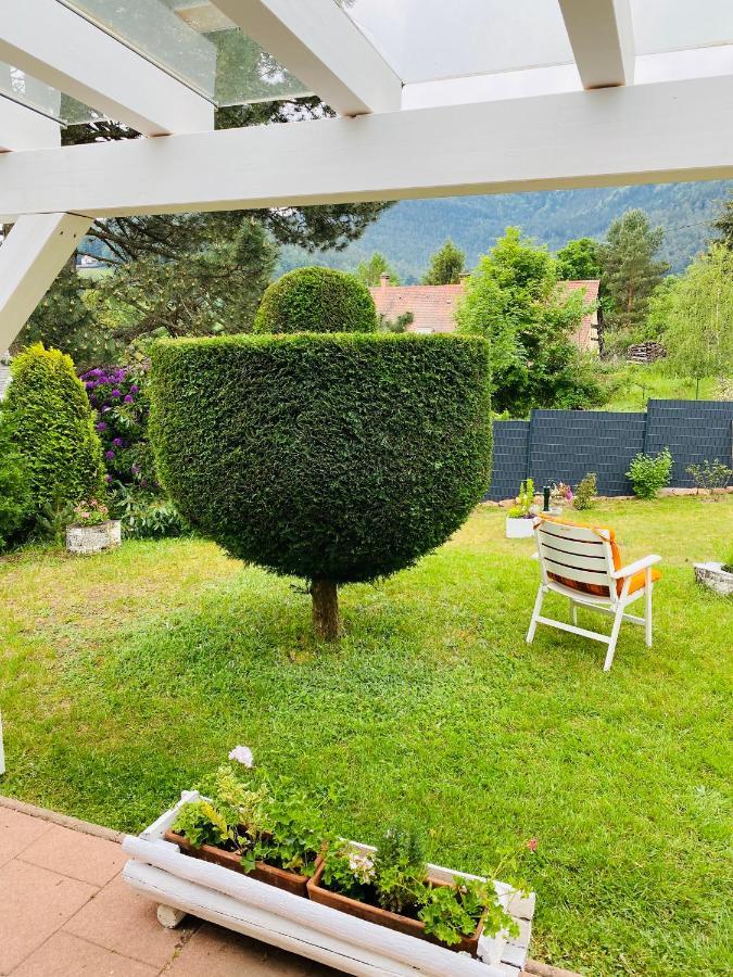 L'Hippocampe Lägenhet Wangenbourg-Engenthal Exteriör bild
