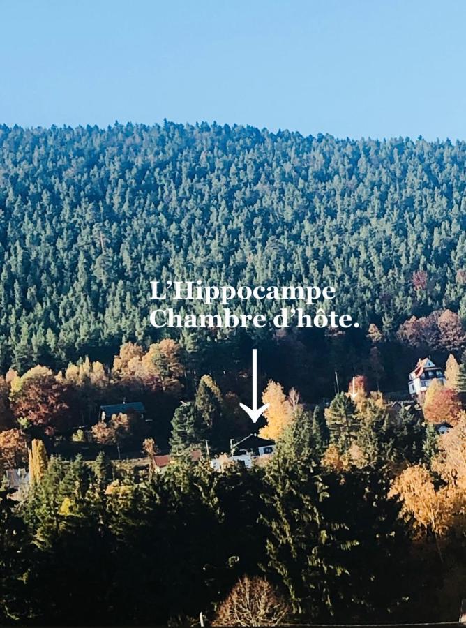 L'Hippocampe Lägenhet Wangenbourg-Engenthal Exteriör bild