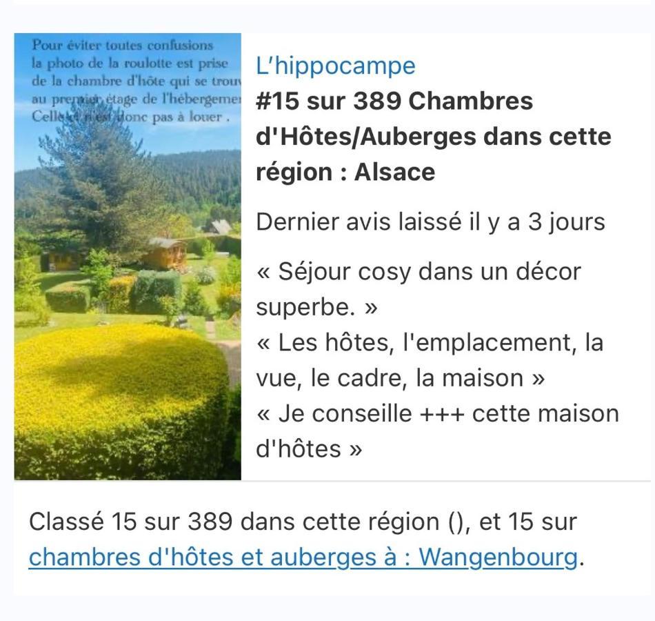 L'Hippocampe Lägenhet Wangenbourg-Engenthal Exteriör bild